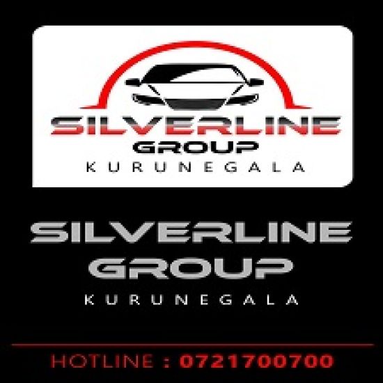 Silverline Group logo