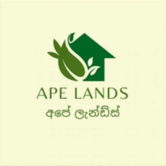 Ape Lands logo