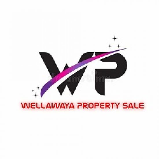 Wellawaya Property Sale logo