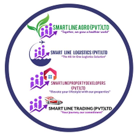 Smart Line Group logo