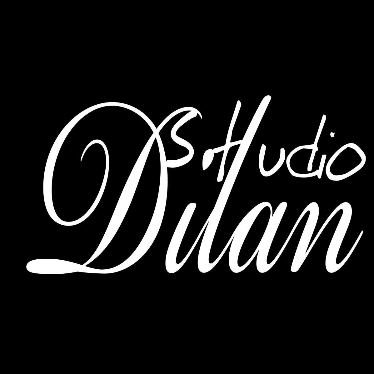 Dilan Studio logo