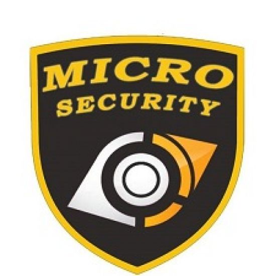 Micro Security Solution logo