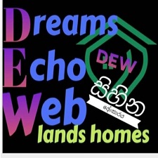 Dreams Echo Web logo