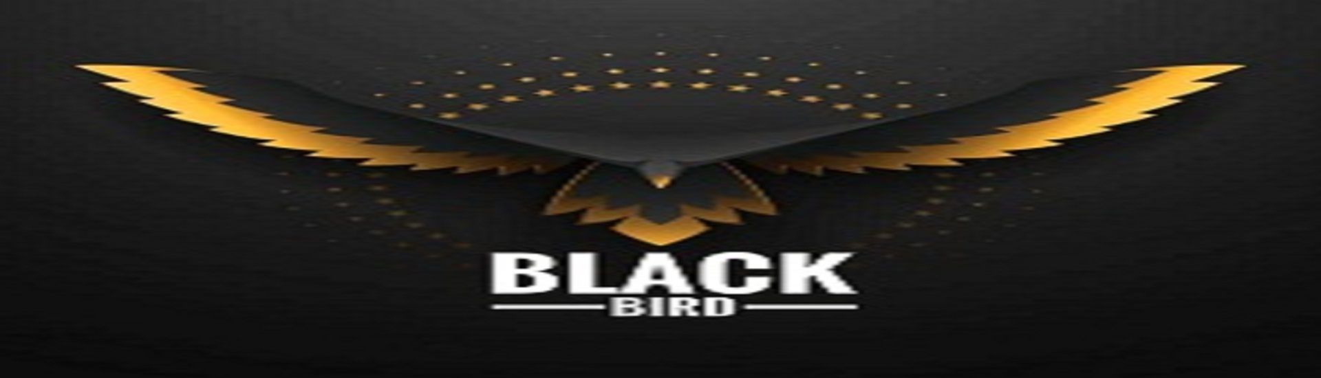 BLACK BIRD logo