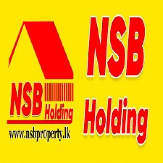 NSB  Holding logo