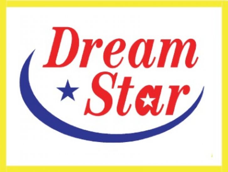 DREAMSTAR DISTRIBUTORS logo