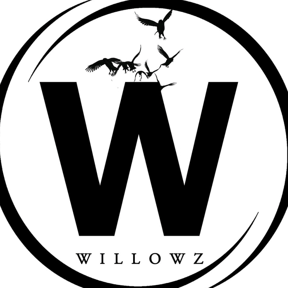 Willowz logo