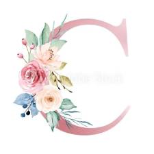 Chenushi Botique logo