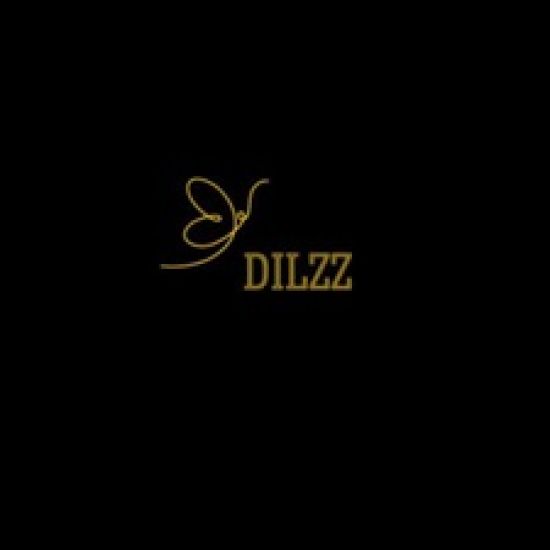 DILZZ logo