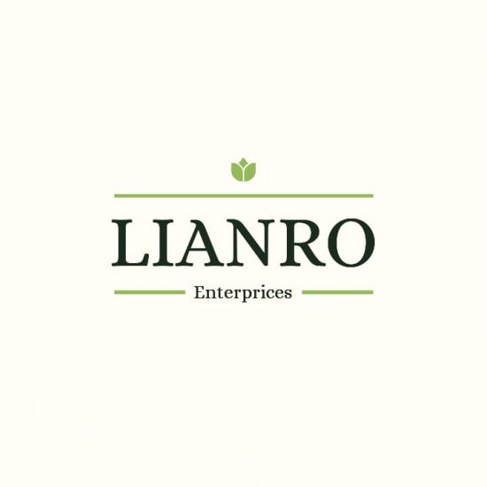 Lianro Enterprise's logo