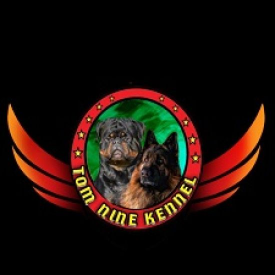 Pet Food Lanka Anuradhapura logo