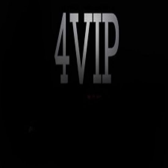 VIP GROUP logo
