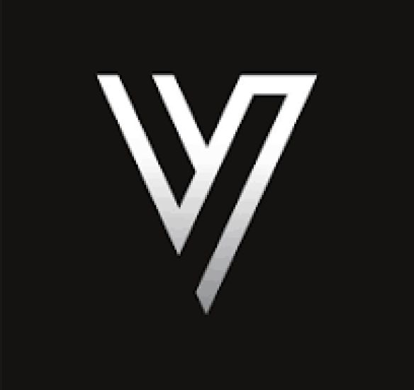 Vidula Enterprises logo