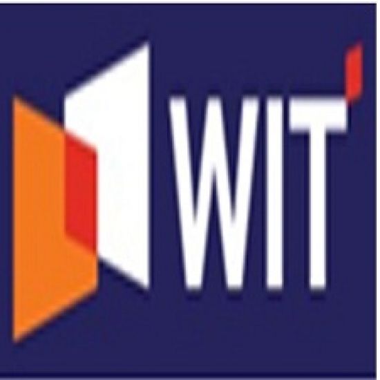Wiscom Information Technology (Pvt) Ltd logo