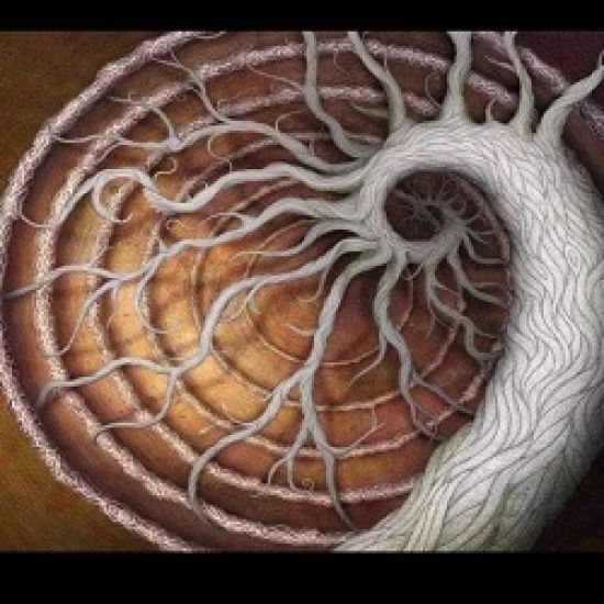 Sevenseas Residence Pvt Ltd logo