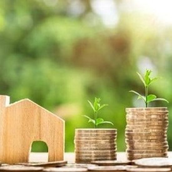 Cey White Real Estate logo